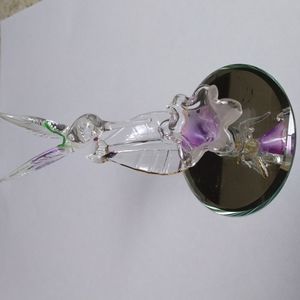 Glass Hummingbird